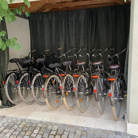 Hollerbusch