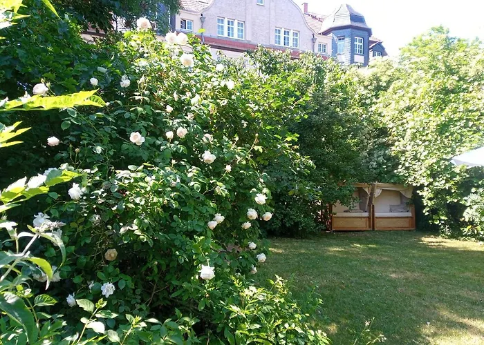 Hollerbusch 4* Weimar